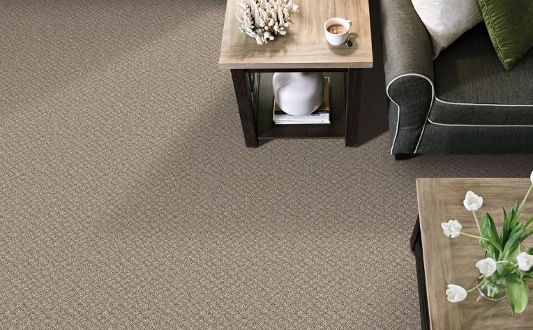brown carpet near furniture